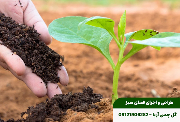 بهترین کود برای فضای سبز