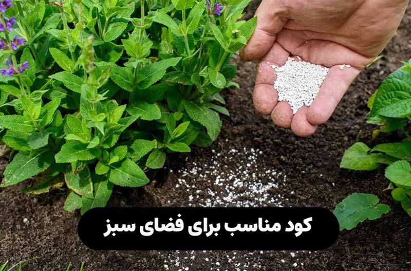 کود مناسب برای فضای سبز