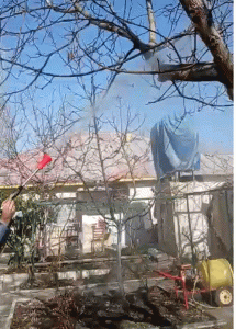 سمپاشی زمستانی