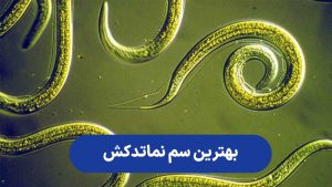 سم نماتد کش ، سم نماتد کش چیست؟