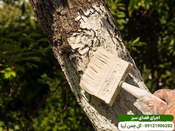 رنگ آمیزی تنه درختان