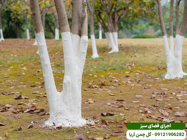 رنگ آمیزی تنه درختان