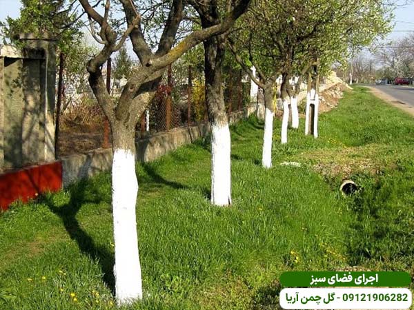 رنگ آمیزی تنه درختان