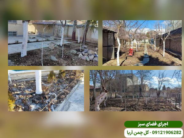 رنگ آمیزی تنه درختان