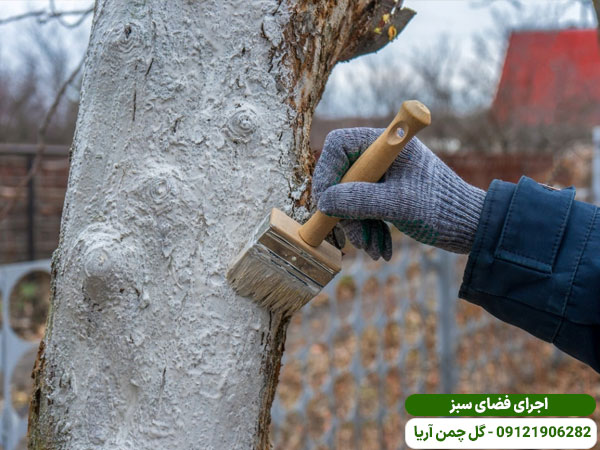 رنگ آمیزی تنه درختان