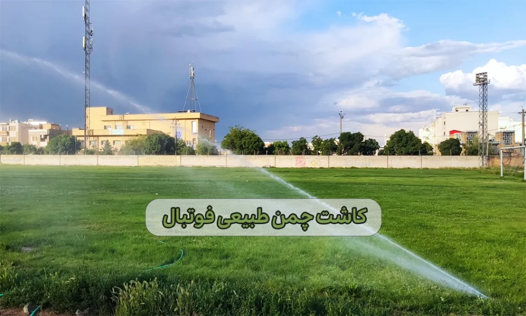 کاشت چمن طبیعی فوتبال