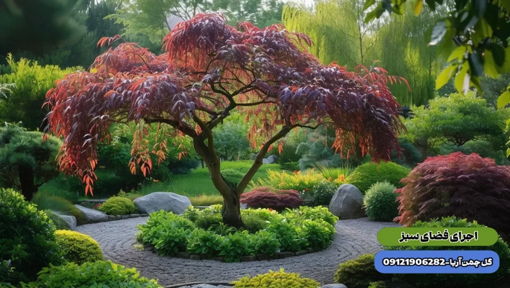 گیاهان باغچه ای ، درختان آب دوست