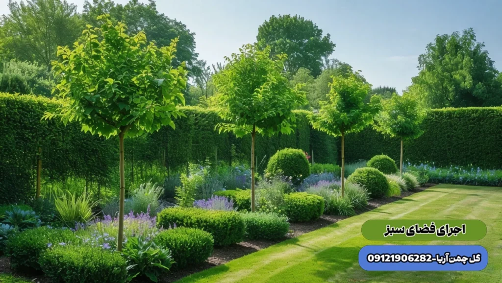 گیاهان باغچه ای ، درختان بادگیر