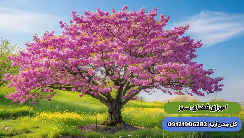 گیاهان باغچه ای ، درختان بلوار و خیابان
