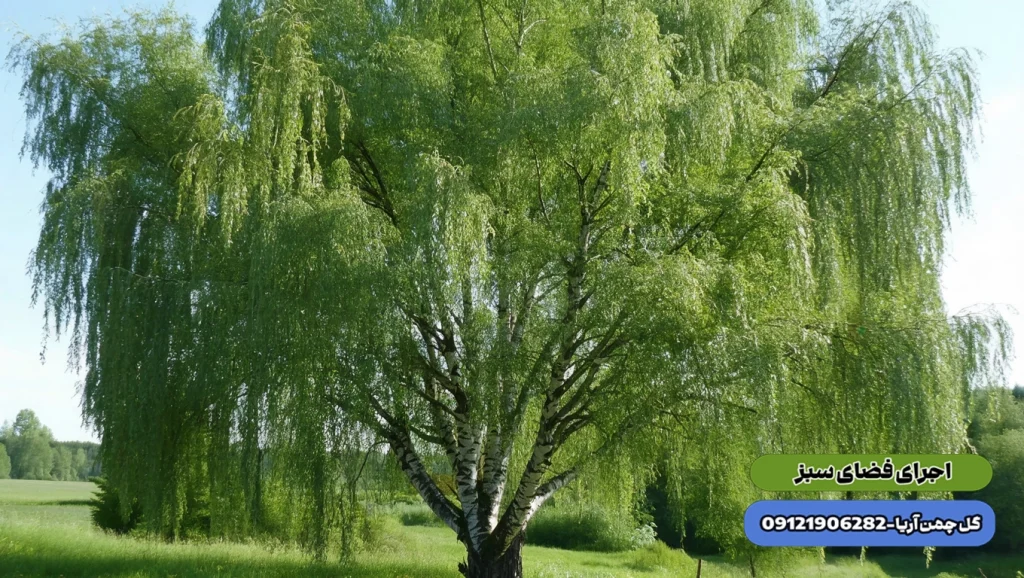 گیاهان باغچه ای ، درختان خاک های آهکی