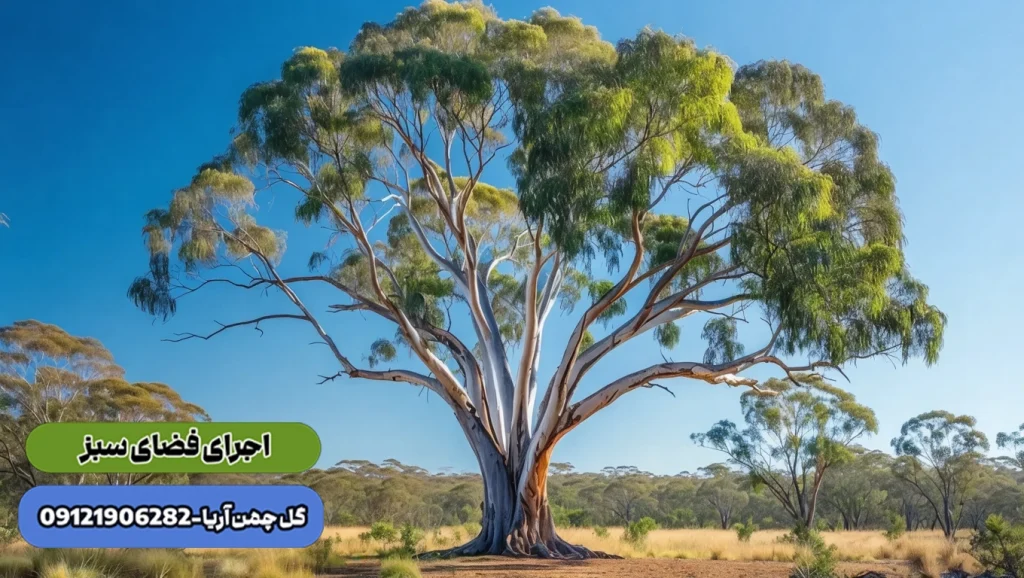 گیاهان باغچه ای ، درختان خاک های بد زهکش