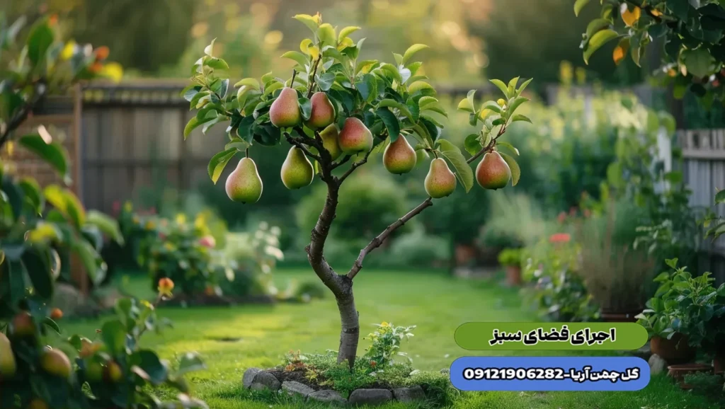 درختان زینتی ، گیاهان باغچه ای