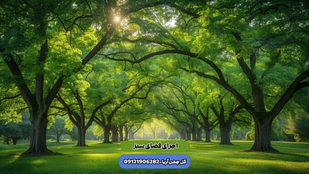 گیاهان باغچه ای ، درختان سایه انداز