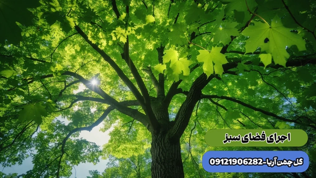 گیاهان باغچه ای ، درختان سریع رشد