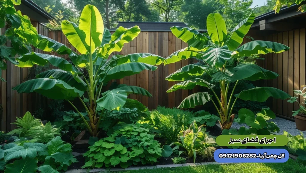 گیاهان باغچه ای ، درختان غیر مثمر
