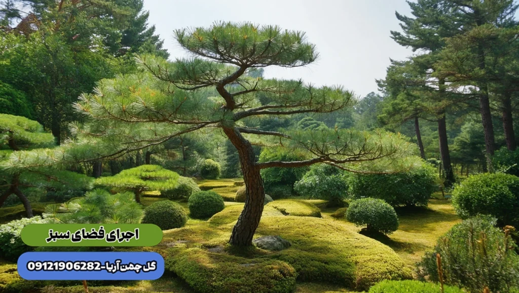 درختان مقاوم به آب شور ، گیاهان باغچه ای