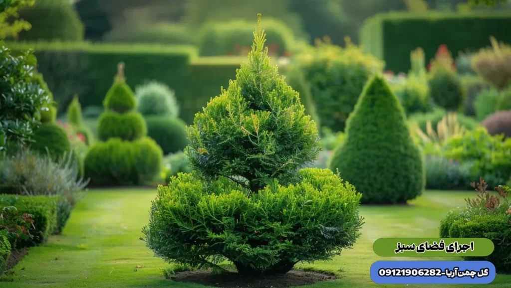 گیاهان باغچه ای ، درختان مقاوم به سایه