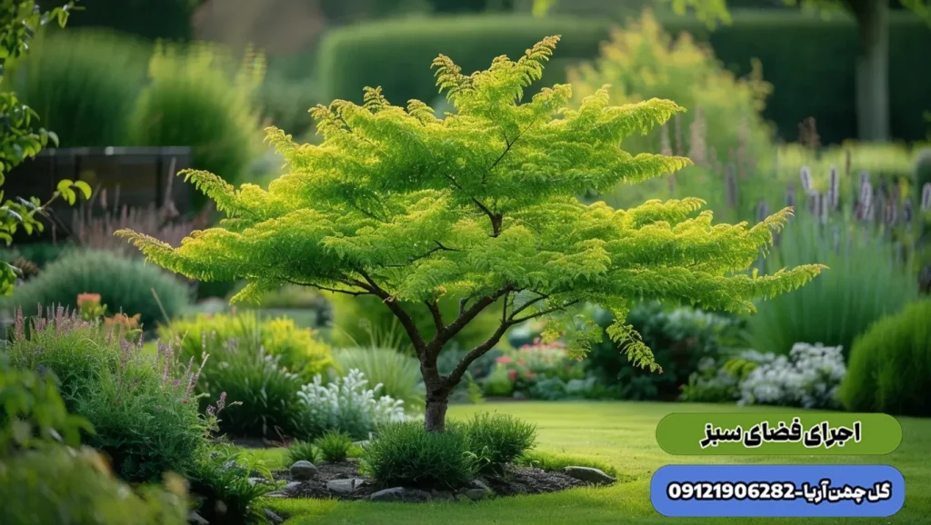 گیاهان باغچه ای ، درختان مقاوم به گرد و خاک