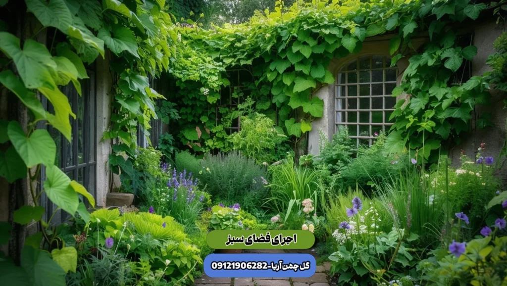 گیاهان بالا رونده ، گیاهان باغچه ای
