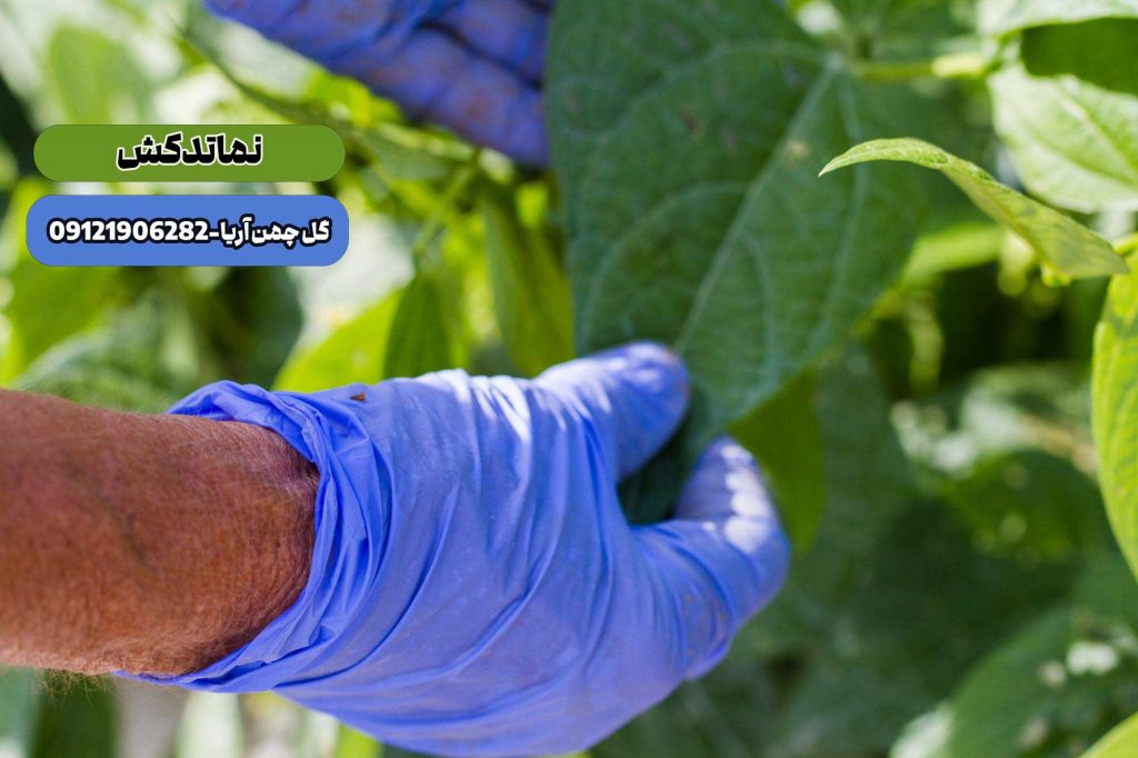 آفت کشی گیاهان